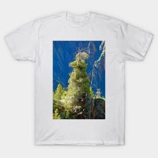 Black Canyon Tree T-Shirt